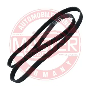 6PK1660-PCS-MS MASTER-SPORT GERMANY