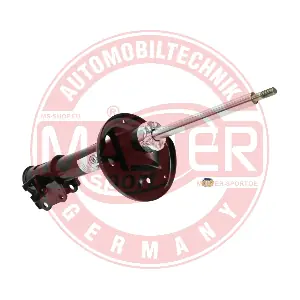 312429-PCS-MS MASTER-SPORT GERMANY