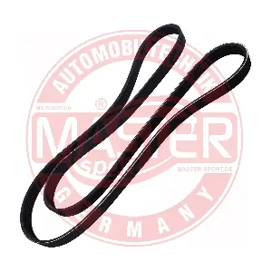6PK1760-PCS-MS MASTER-SPORT GERMANY