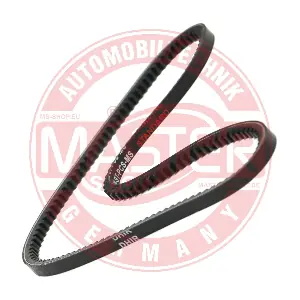 MASTER-SPORT GERMANY AVX-10X850-ST-PCS-MS