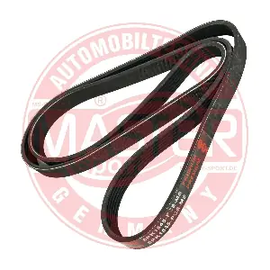 6PK1545-PCS-MS MASTER-SPORT GERMANY
