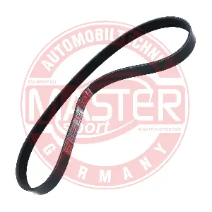 MASTER-SPORT GERMANY 6PK890-PCS-MS
