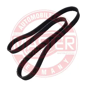 6PK1345-PCS-MS MASTER-SPORT GERMANY