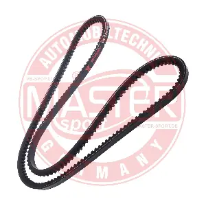 AVX-10X1190-PCS-MS MASTER-SPORT GERMANY