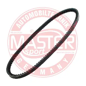AVX-10X630-PCS-MS MASTER-SPORT GERMANY