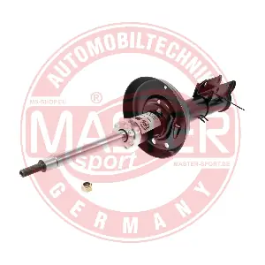 MASTER-SPORT GERMANY 312317-PCS-MS