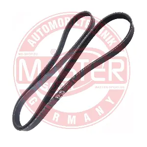 MASTER-SPORT GERMANY 6PK1893-PCS-MS