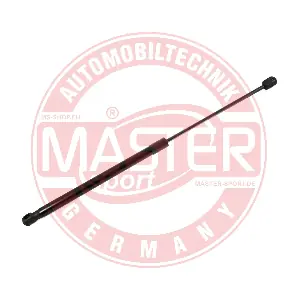 MASTER-SPORT GERMANY 6308024-PCS-MS