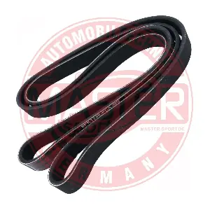 6PK1748PCSMS MASTER-SPORT GERMANY