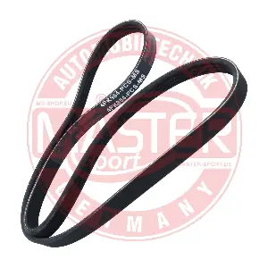 4PK954-PCS-MS MASTER-SPORT GERMANY