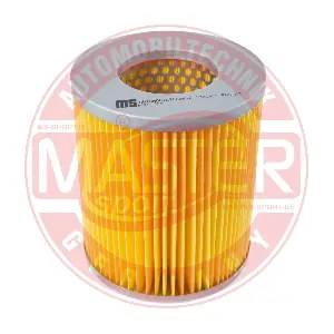 MASTER-SPORT GERMANY 1381-LF-PCS-MS