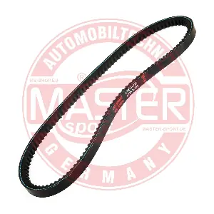 AVX-13X725-PCS-MS MASTER-SPORT GERMANY