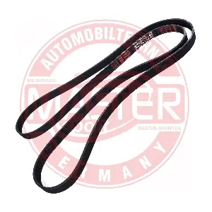 6PK2198-PCS-MS MASTER-SPORT GERMANY