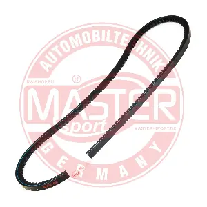 MASTER-SPORT GERMANY AVX-10X870-PCS-MS