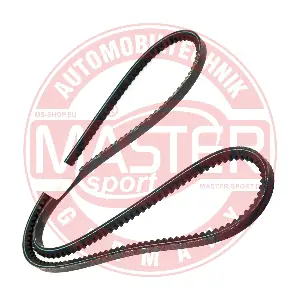 MASTER-SPORT GERMANY AVX-10X1180-PCS-MS