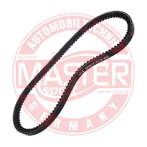 MASTER-SPORT GERMANY AVX-10X617-PCS-MS