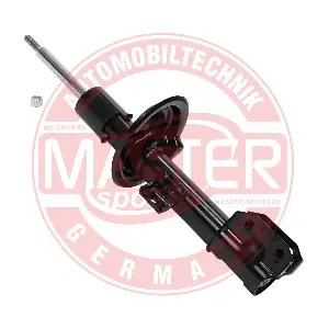 312818-PCS-MS MASTER-SPORT GERMANY