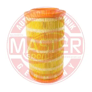 MASTER-SPORT GERMANY 17237-LF-PCS-MS