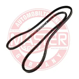 AVX-10X1532-PCS-MS MASTER-SPORT GERMANY