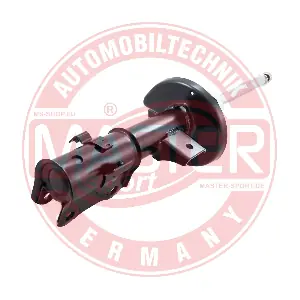 317186PCSMS MASTER-SPORT GERMANY