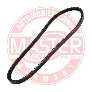 AVX-13X890-PCS-MS MASTER-SPORT GERMANY