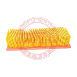 MASTER-SPORT GERMANY 2774/1-LF-PCS-MS