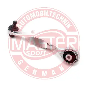MASTER-SPORT GERMANY 21613PCSMS
