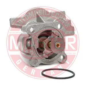 653730382 MASTER-SPORT GERMANY