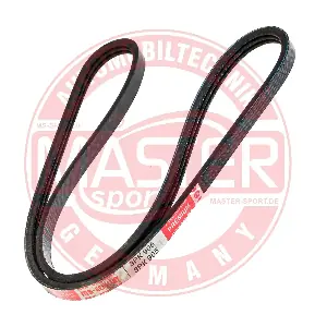 3PK905-PCS-MS MASTER-SPORT GERMANY