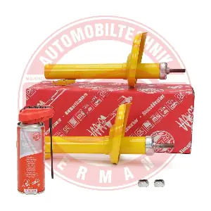 16K005301P MASTER-SPORT GERMANY