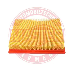 MASTER-SPORT GERMANY 2256-LF-PCS-MS