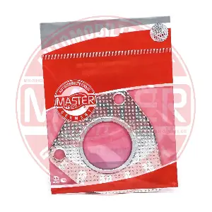 600250671 MASTER-SPORT GERMANY