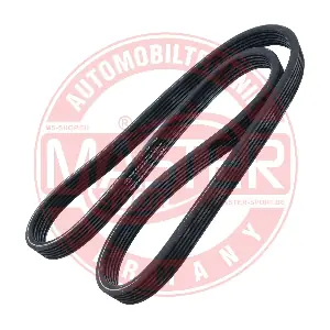 6DPK1195-PCS-MS MASTER-SPORT GERMANY