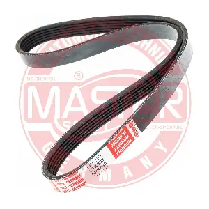 6PK893-PCS-MS MASTER-SPORT GERMANY