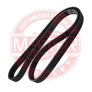 6PK1185-PCS-MS MASTER-SPORT GERMANY