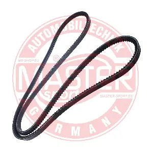 AVX-13X1700-PCS-MS MASTER-SPORT GERMANY