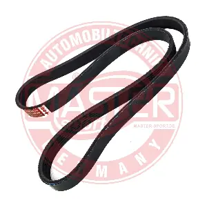 6PK1138-PCS-MS MASTER-SPORT GERMANY