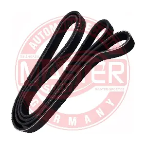 MASTER-SPORT GERMANY 6PK2195-PCS-MS