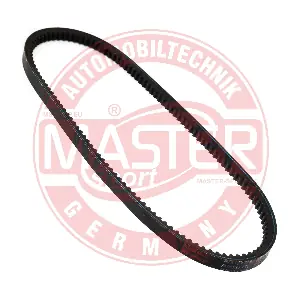 AVX-13X775-PCS-MS MASTER-SPORT GERMANY
