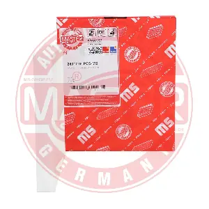 24017-IF-PCS-MS MASTER-SPORT GERMANY