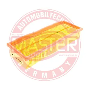 MASTER-SPORT GERMANY 3173-LF-PCS-MS