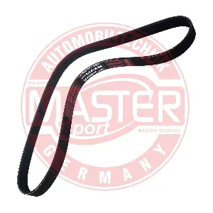 MASTER-SPORT GERMANY 6PK995-PCS-MS