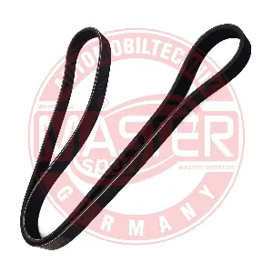 6PK1352-PCS-MS MASTER-SPORT GERMANY