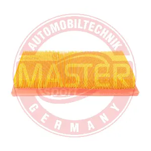 MASTER-SPORT GERMANY 2991/2-LF-PCS-MS