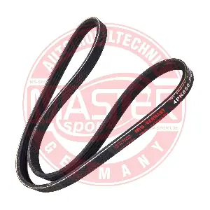 4PK850-PCS-MS MASTER-SPORT GERMANY