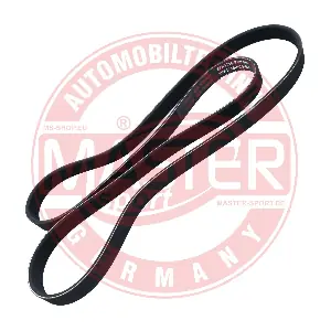 6PK1715-PCS-MS MASTER-SPORT GERMANY