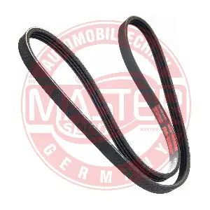 4PK958-PCS-MS MASTER-SPORT GERMANY