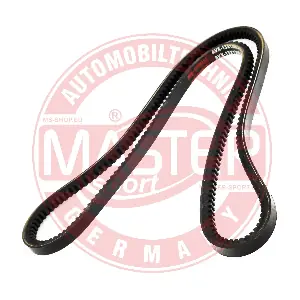 AVX13X1300PCSMS MASTER-SPORT GERMANY