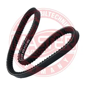 AVX13X655PCSMS MASTER-SPORT GERMANY