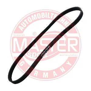 4PK856-PCS-MS MASTER-SPORT GERMANY